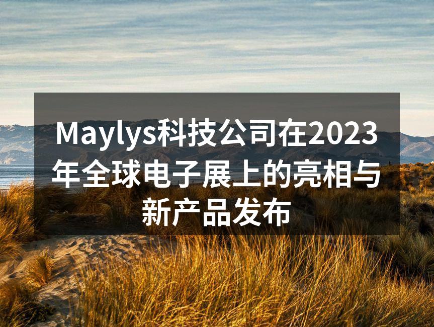 Maylys展位吸引众多参观者